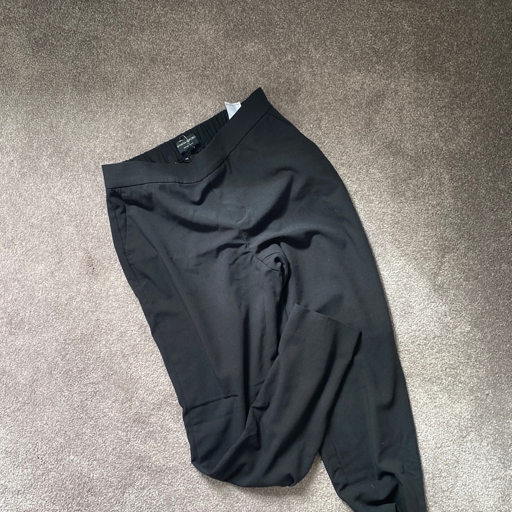 Banana Republic Hayden Pant